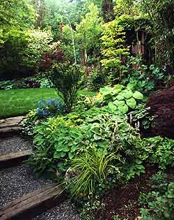 Indiana Landscape Design