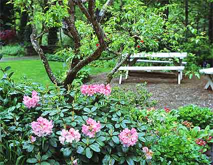 Northwest Indiana & Southwest Michigan Landscape Design