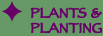 Plants and Planting