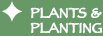 Plants and Planting